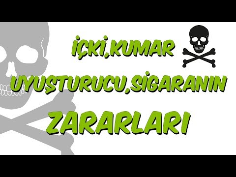Içki, Kumar, Uyusturucu, Sigaranin Zararlari | LGS Kampi - Içki, Kumar, Uyusturucu, Sigaranin Zararlari | LGS Kampi