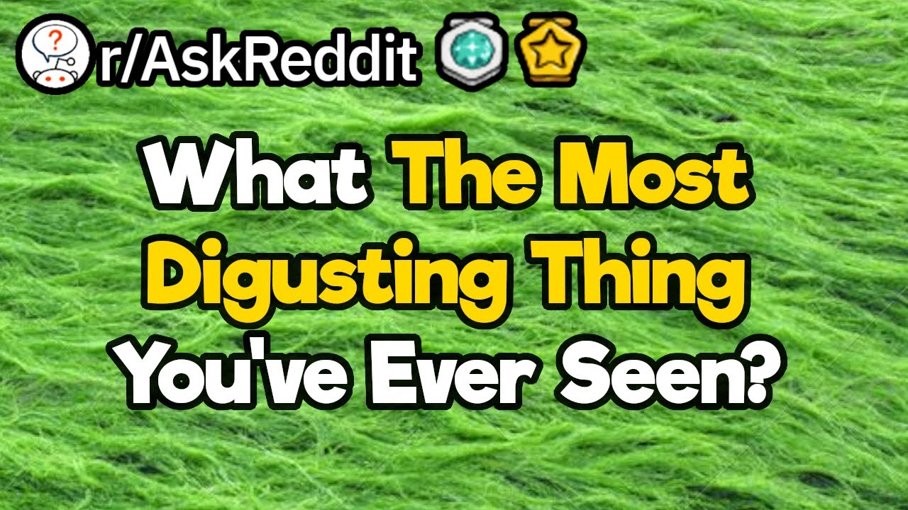 What Is The Most Disgusting Thing You've Ever Seen? YouTube