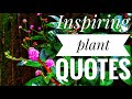 Citations inspirantes sur les plantes