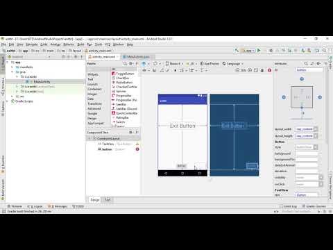 How to exit the application with exit button