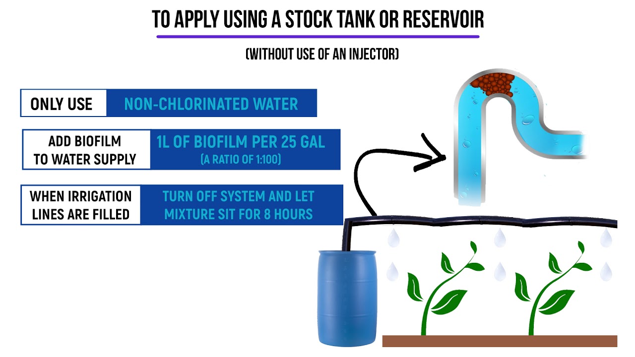 Biofilm Buster Application Instructions YouTube
