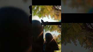 Ishke ke teni galia ... everyone support me 😊#shortvideo #love #foryouシ #foryourpageシ