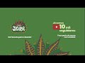 Da Floresta para o Mundo - Canal Jagube 10 Mil Inscritos no Youtube