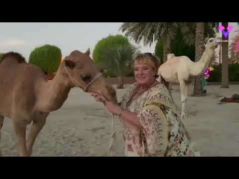 Esta alemana vive en el desierto de Dubái con 40 camellos