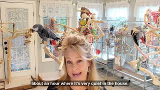 Why Do Birds Nap During the Day? 🦜 | Lisa Bono Explains