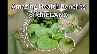 7 Health Benefits of Oregano