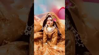 🦚🌸❣️#radharani #shyam #trending #shorts #viralvideo #laddugopal #seva #yt #bhog #youtube #minivlog