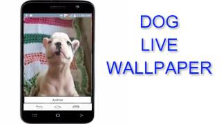 Pug Dog Live Wallpaper - Free screenshot 4