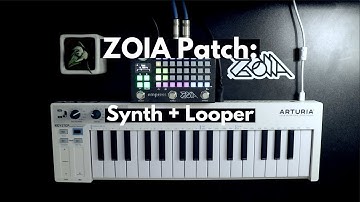 Empress ZOIA Loopy Synth Patch