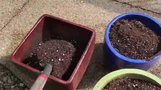 DIY Potting Soil: How to make homemade potting mix