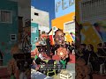 LIRA MUSICAL SÃO SEBASTIÃO - FLOR MAMÃE