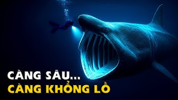 Vì Sao Càng Xuống Sâu, Động Vật Biển Càng Siêu To Khổng Lồ???