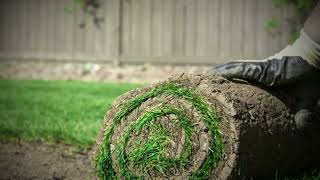 615 Sod: Nashville’s Top Choice for Lush, Professional Sod Grass Installation