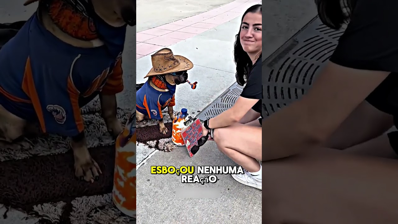 Esse cachorro vende aperto de mão 🐶 #shorts