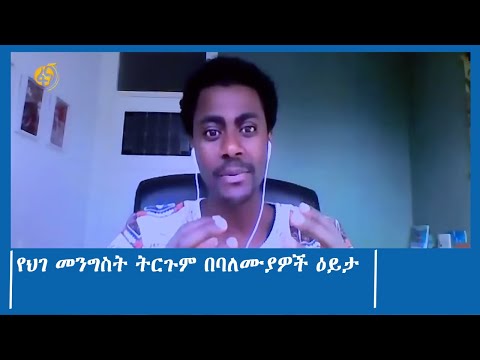 የህገ መንግስት ትርጉም በባለሙያዎች ዕይታ