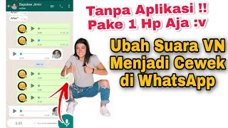 Cara Ubah Suara VN WA Jadi Perempuan Tanpa Aplikasi