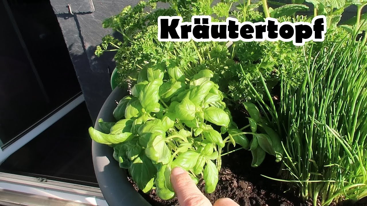 Einkaufen fürs Grillen Kleines Kräuterbeet auf dem Balkon Nici