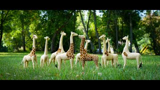 Journey of Creativity: Bear Creek Felting Needle Felting Safari 2023