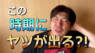 なぜ？この時期にゴキブリ？！