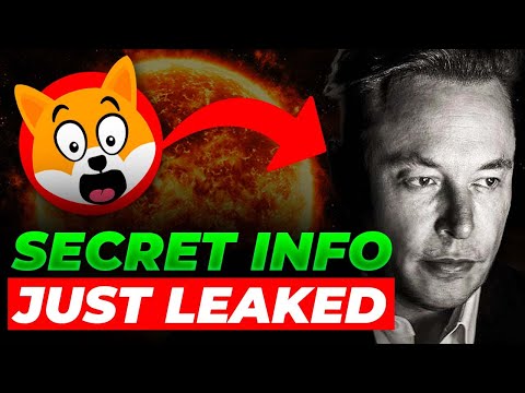 ELON ACTUALLY DROPPED A NUKE!! WATCH IF YOU HOLD 2.000.000 SHIB!!