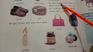 ABN school sub. EVS class-2 chapter-19 Animals are Useful part -2