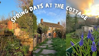 Butter-Making & Sowing Flowers | A Quiet Day at the Cottage