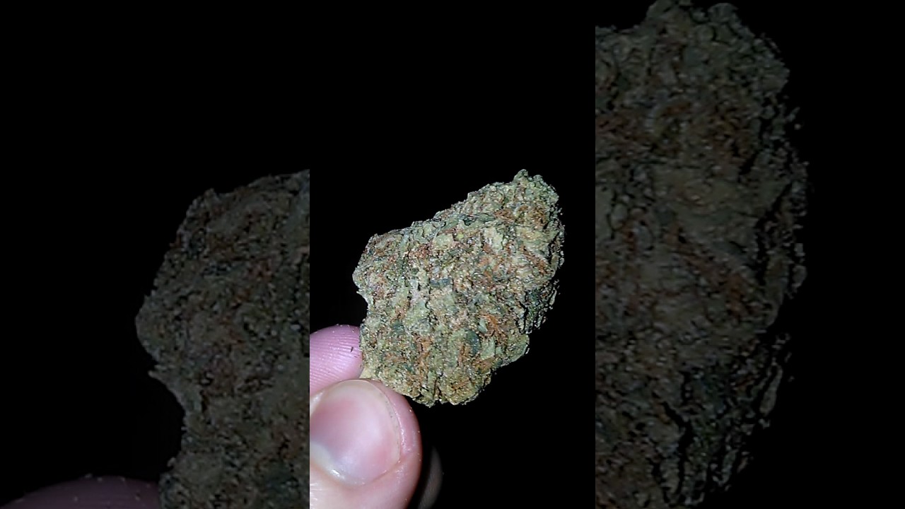 New York City Diesel.