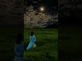 Last Night of Summer / Starry Night / Calm at Night / Music by Lino Fetussi / Space Ambient/ EDM