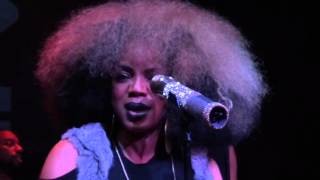 Leela James - Fall For You {Live @ Bizz'Art, Paris, 30th november 2015}