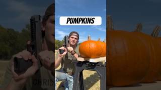 How Many Pumpkins To Stop A 50 Cal Sniper Rifle? Resimi