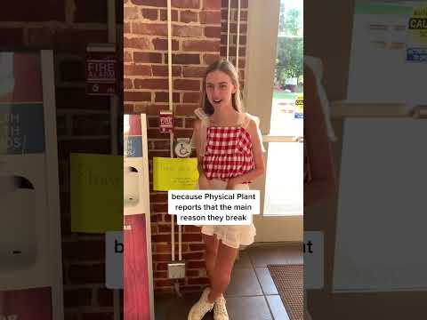 Visual and Auditory Customization Options