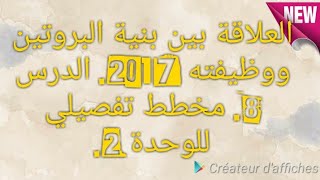 8* العلاقة بين بنية البروتين ووظيفته 2017. الدرس الثامن، مخطط تفصيلي للوحدة 2.