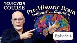 Part 4 Is Your Brain Stuck? The Entropic Brain Theory Explained
