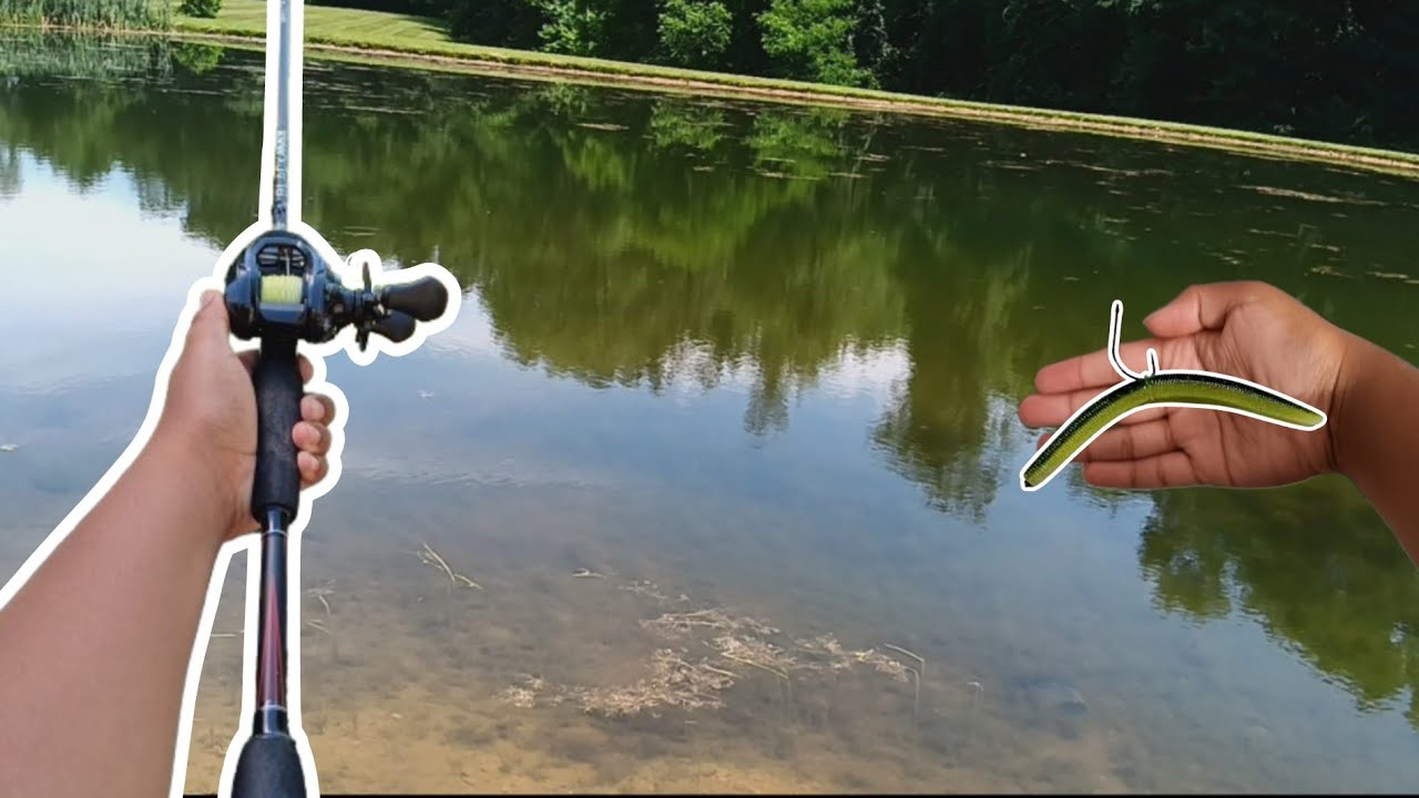 GIANT BASS in CRYSTAL CLEAR WATER! (RECORD DAY OF BASS FISHING)