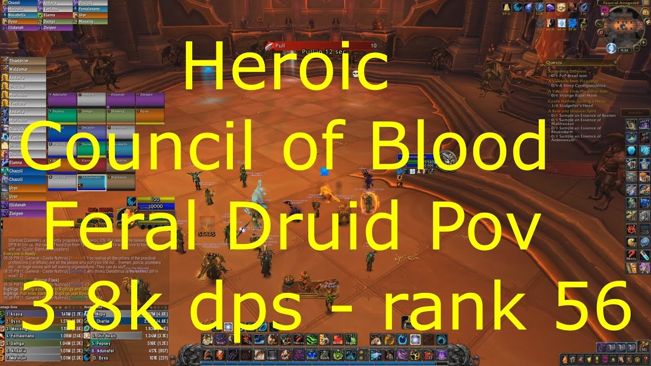 Shadowlands 9.0.2 - Feral Druid POV Guide  - Heroic Council of Blood - 3.8k DPS, 98% parse, rank 56.