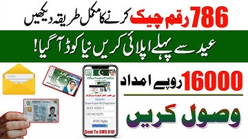 Check your payments 786 ehsaas program new method | New program payments check