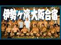 【名古屋場所直前】大阪合宿🔥角界一の関取数!過酷な稽古の全貌は……⁉︎ #大相撲 #新入幕 #草野