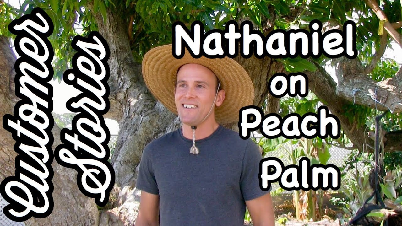 Customer Stories- Nathaniel on Peach Palm