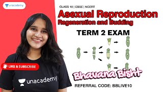 Asexual Reproduction - Regeneration & Budding 👉🏽 Let's Machao Term 2 🔥 Bhavana Ma'am | Unacademy screenshot 1