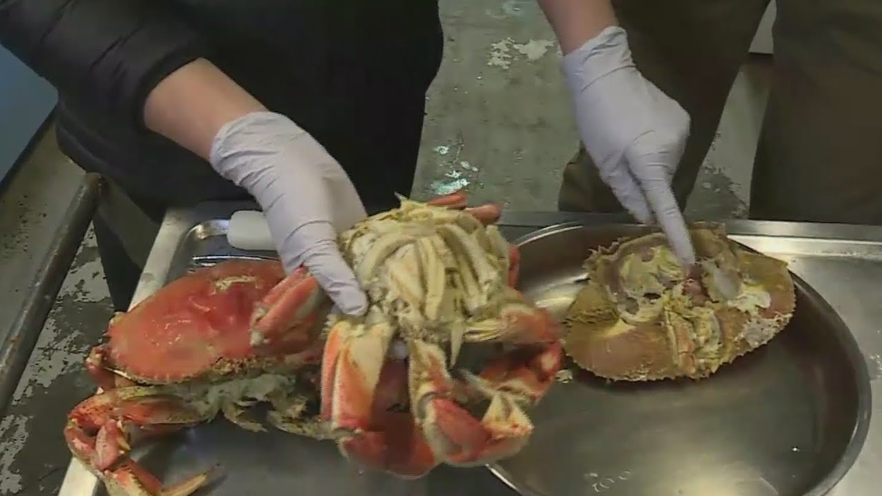 Get fresh crab from ABC Seafood Company