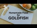 Homemade Food for Goldfish