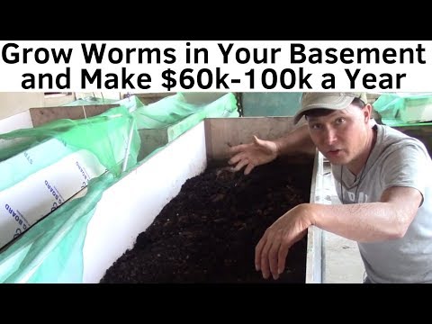 Video: Feeding Cucumbers With Chicken Droppings: Is It Possible To Feed And How To Water In The Open Field And In The Greenhouse? How To Dilute Granular And Fresh Fertilizer?