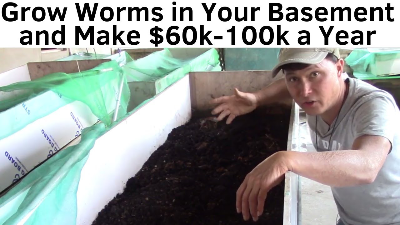 how can i make money worm farming