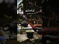 حلمي الصغير Shorts 