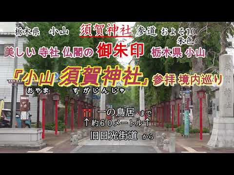栃木県小山市「須賀神社」御朱印の旅。京都の祇園社からの御分霊が祀られた。