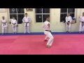 Shotokan kata jitte matt price