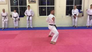 Shotokan Kata Jitte Matt Price