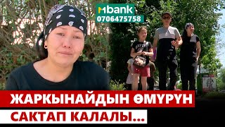 Жаркынай сиздин жардамыңызга муктаж