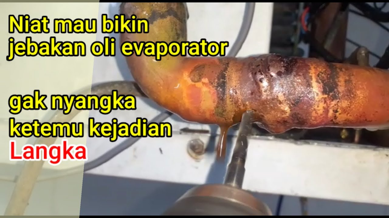 U trap evaporator jebakan oli YouTube