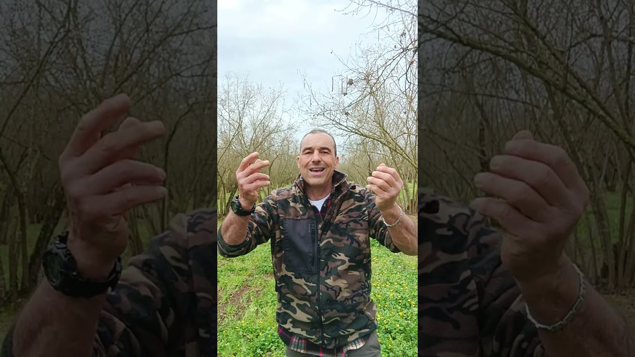 TAPPETO ERBOSO🌿🌿🌿VS CONTROLLO CHIMICO... QUALI SONO I VANTAGGI DI MANTENERE UNA BELLA BIODIVERSITÀ?